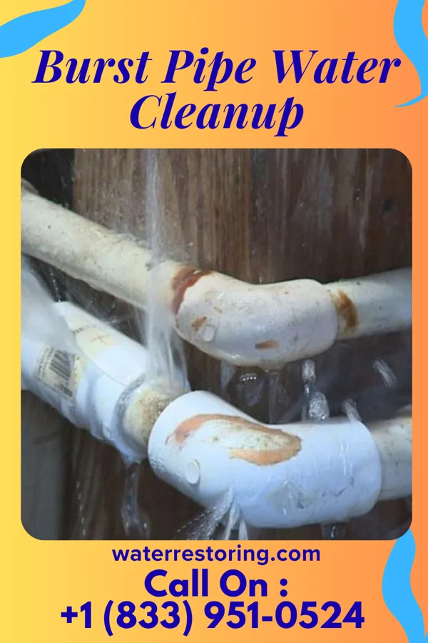Burst Pipe Water Cleanup in Orestes, IN