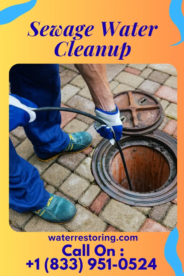 Sewage Water Cleanup in Orestes, IN