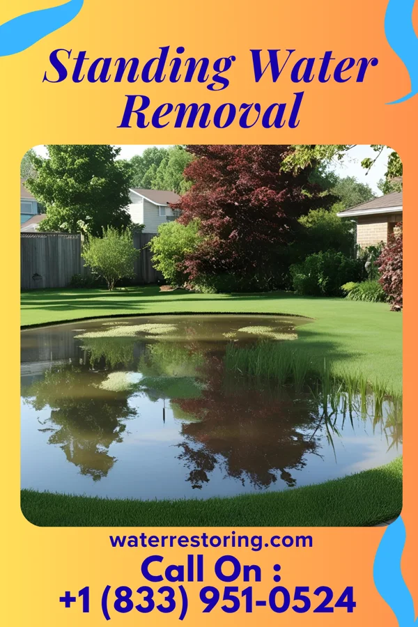 Standing Water Removal in Orestes, IN